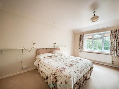 Picture 23